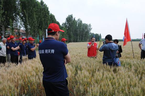 市惠民县的魏集镇合作社,示范面积110亩,由周新波负责,示范人为姚焕忠