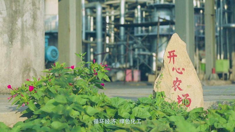绿色环保.jpg