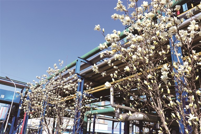 1661219851661081506.jpg 1177082_hj_1660878064984_s.jpg