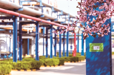 1687317641876076551.png untitled3.png