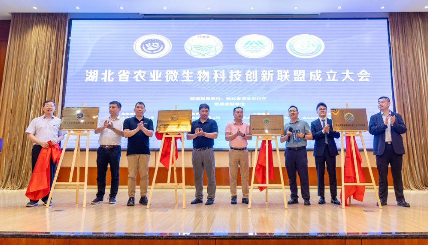 QQ20250617-135744.png