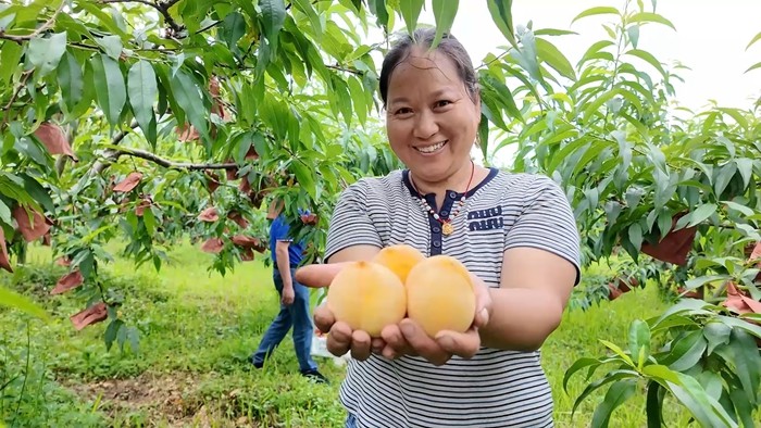 1758596101811093561.jpg 微信图片_20250919164930.jpg