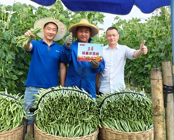 1758596141704017001.jpg 微信图片_20250922103628.jpg