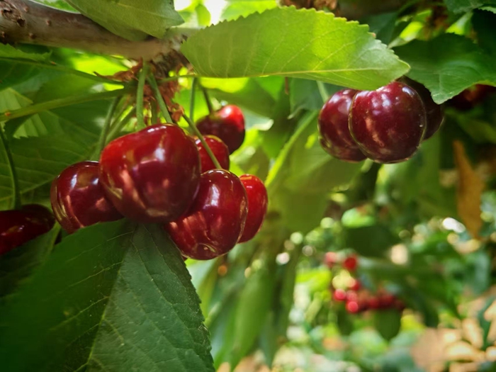 1758596229265064057.jpg 微信图片_20250922155935.jpg