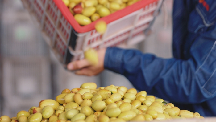 1758596252868026893.jpg 微信图片_20250922102355.jpg