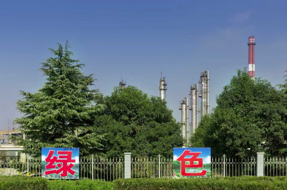 QQ20251021-110610.jpg