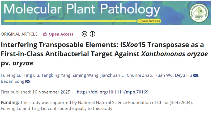 1763427903947029367.jpg QQ20251118-090343.jpg