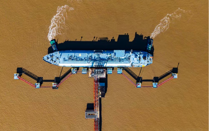 1765157986042066465.jpg QQ20251208-093740.jpg