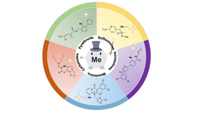 1765589802861032618.jpg 123.jpg