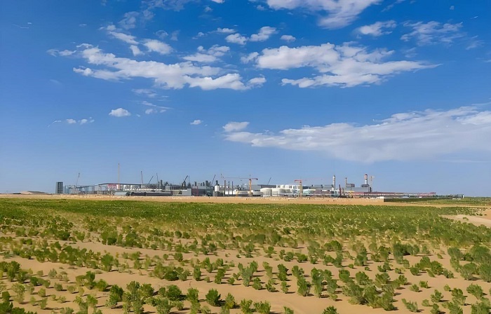 1766123405821098787.jpg image003.jpg