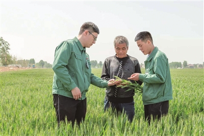 1766720267045065836.jpg ImageFetcher (2).jpg