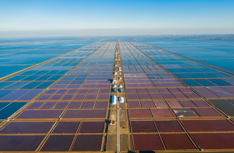 1767064103805086003.jpg 盐田.jpg