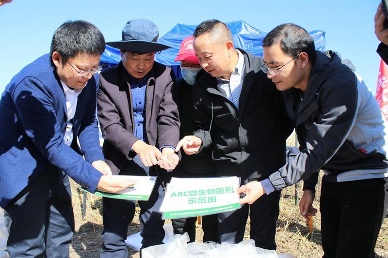 1767162403597078190.jpg image005.jpg