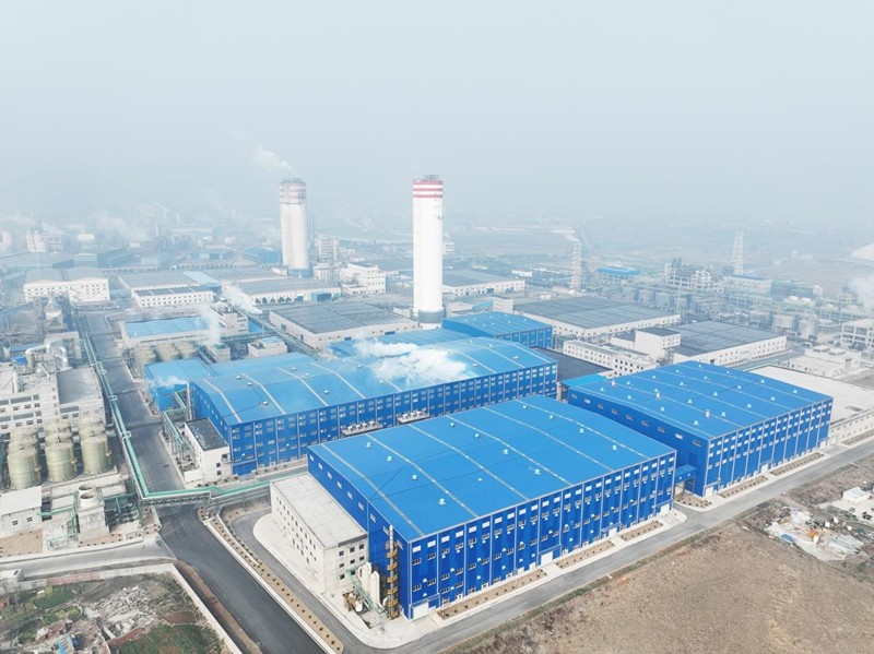 1767162778646085937.jpg image007.jpg