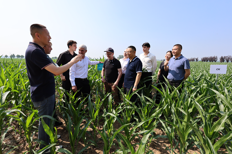 1767165082542085824.png 微信图片_20251231142508_28_232.png