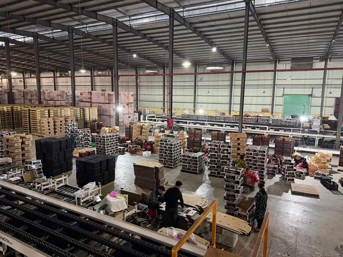 1772281981649017954.jpg 微信图片_2026-02-28_202022_681.jpg