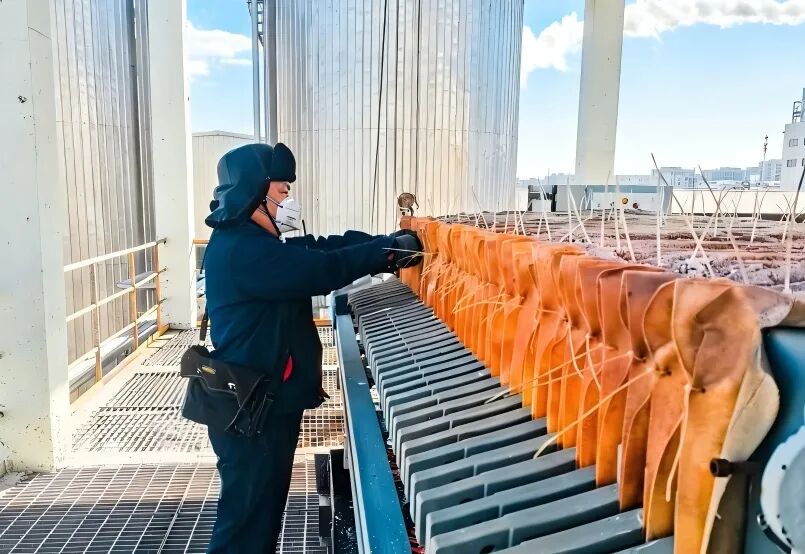 1774596848560073613.jpg 640 (2).jpg