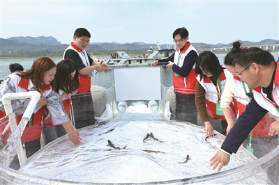 ImageFetcher (7).jpg