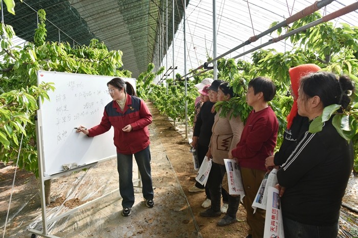 1775563625652002465.jpg 微信图片_2026-04-07_195448_555.jpg