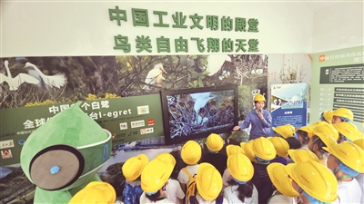 ImageFetcher (1).jpg